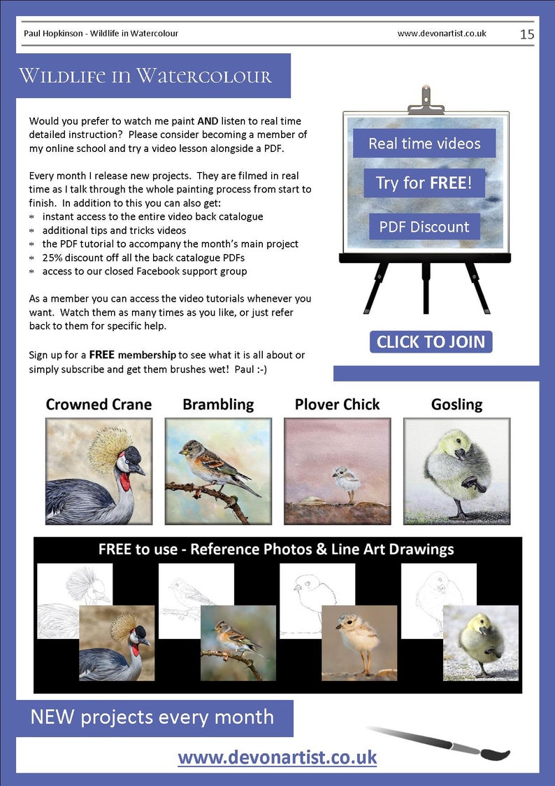 The last page of the watercolour guide.  This details watercolour video lessons that are also available from the seller, alongside 4 other ebooks.  These feature a crane, brambling bird, plover chick and gosling.