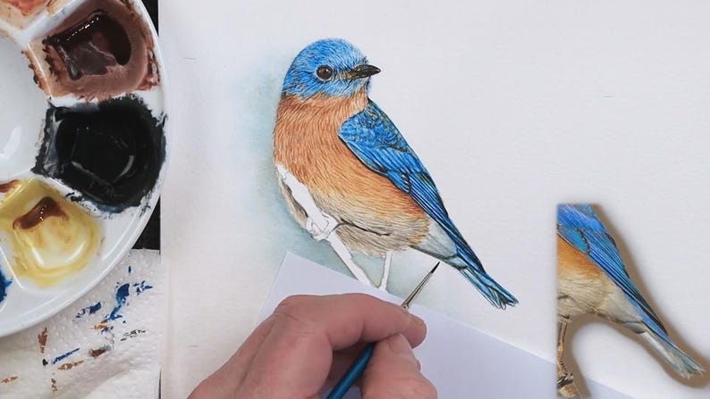 The painting is starting to look realistic and lifelike, with the addition of darker blue and orange feather details, which are giving the bird a 3d form.
