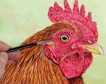 How to Paint Realistic Birds, Rooster Watercolor Painting, Watercolour Illustration Artwork