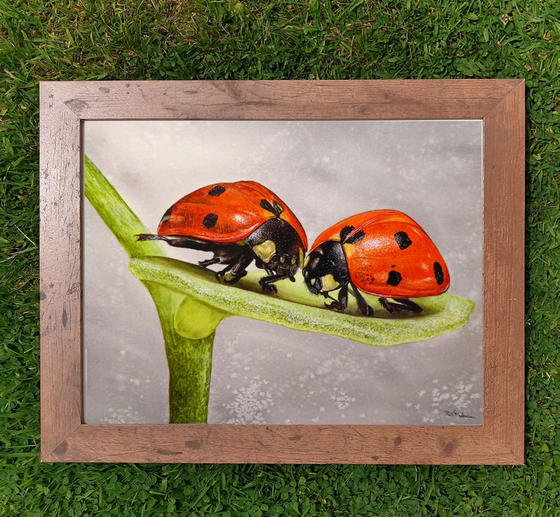 The finished ladybird painting shown in a brown frame, this is laid on a lawn.
