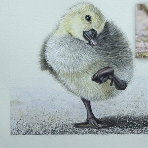 This is one of the later stages of the painting.  Paul has finished painting the actual gosling, and is now working on the ground which it is stood on.