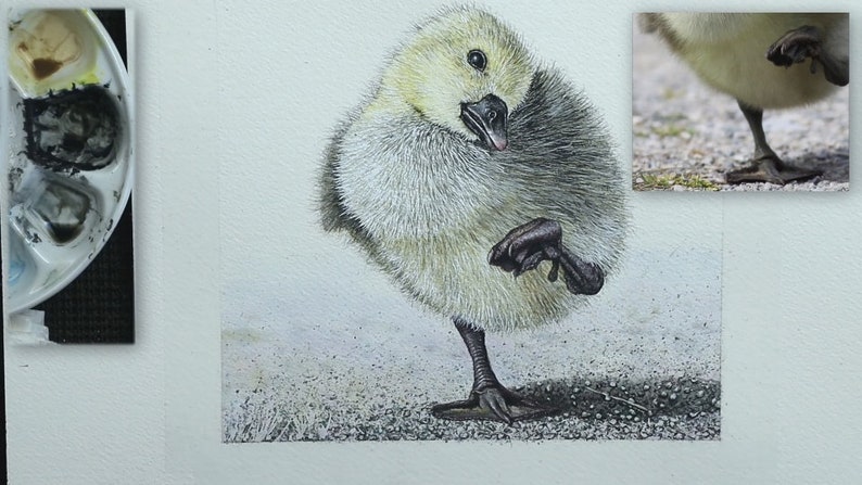 This is one of the later stages of the painting.  Paul has finished painting the actual gosling, and is now working on the ground which it is stood on.