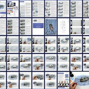 The seal lesson overview image, laid out in the same way as the other lessons, and again containing masses of photos alongside blocks of text.