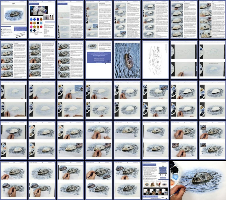 The seal lesson overview image, laid out in the same way as the other lessons, and again containing masses of photos alongside blocks of text.