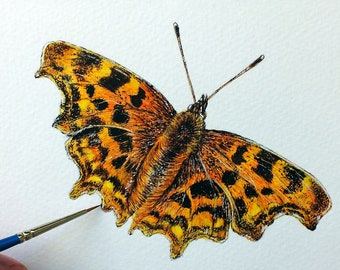 ORIGINAL papillon aquarelle peinture, Fine Detail peinture aquarelle, virgule papillon Art, oeuvre Illustration insecte, cadeau de la faune