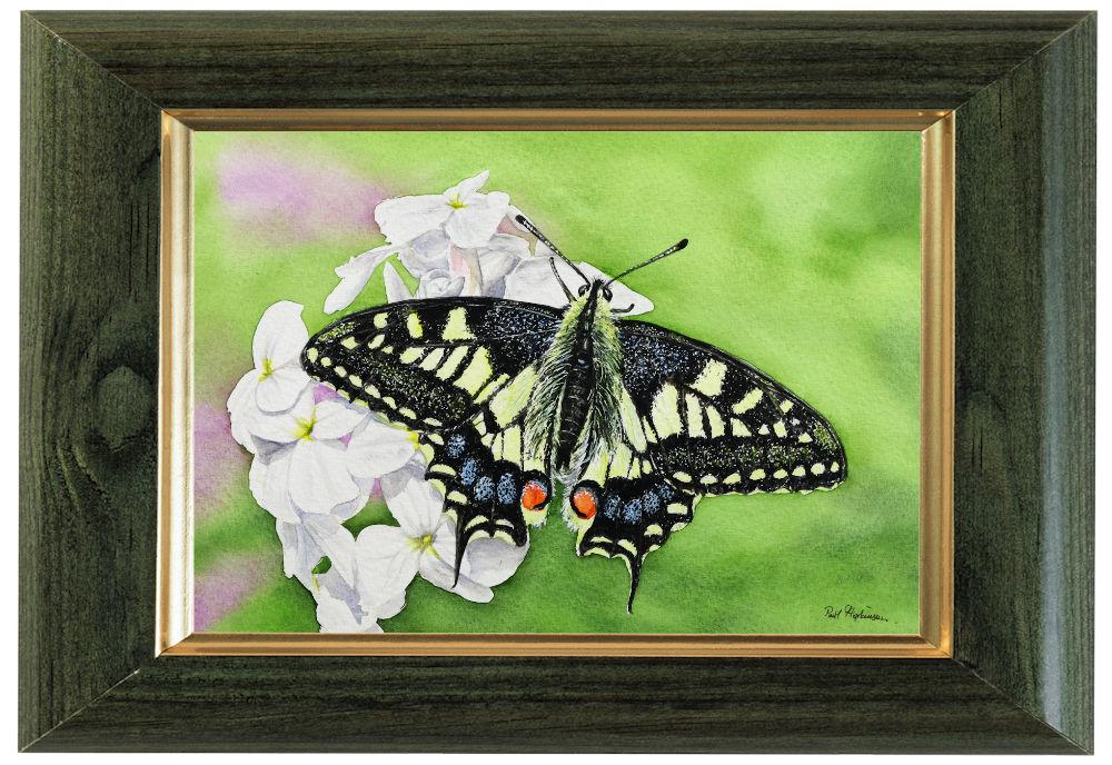 版画 SWALLOWTAIL BUTTERFLY ORIGINAL Swallowtail Butterfly Painting, Illustration Fine