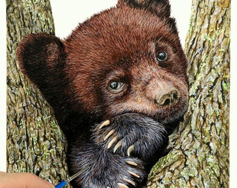 May include: A close-up of a brown bear cub with black eyes and claws, resting its head on its paws while looking at the camera. The cub is nestled in a tree trunk with green moss.