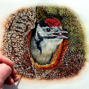 Watercolour Bird Painting Tutorial, Woodpecker Watercolor Tutorial, Step by Step Lesson, How to Paint Realistic Birds, Painting Guide