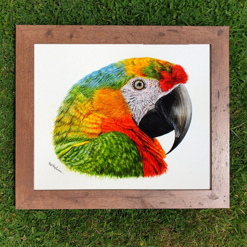 The parrot painting in a wooden frame which is laid on a lawn.