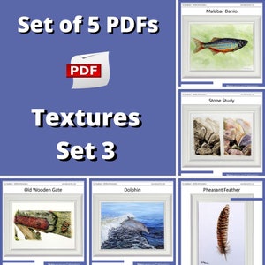 Lessen aquareltextuur schilderen, leren schilderen aquarelvissen, dolfijnen, veren, stenen, hout en insecten, downloadbare e-books