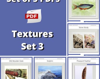 Watercolor Texture Painting Lessons: Fish, Wood, Stone, Feather (PDF e-Books)