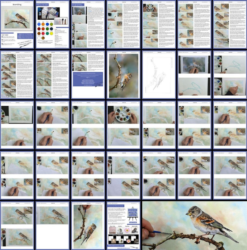Set of 5 Watercolour Bird Painting PDFs, Instant Download Watercolor Lessons, Step-by-Step Painting Courses image 4