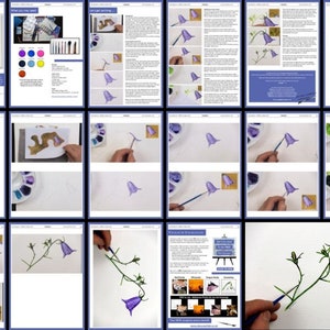 PDF watercolour painting lesson, an image showing all the pages in this ebook, which you can instantly download and start painting from.