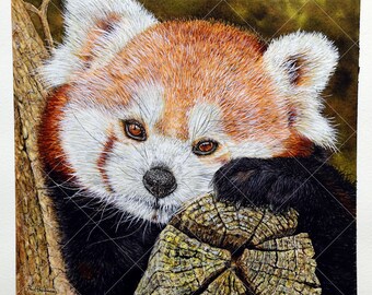 オリジナルのレッサーパンダの水彩画、動物の水彩画、野生動物のアート