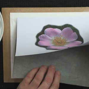 This image shows Paul preparing to transfer the image of the rose onto the watercolour surface.  He is holding up a piece of paper with the rose printed on it.  Below, he is inserting a grey sheet of graphite backed paper.