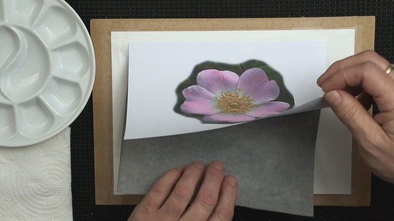 This image shows Paul preparing to transfer the image of the rose onto the watercolour surface.  He is holding up a piece of paper with the rose printed on it.  Below, he is inserting a grey sheet of graphite backed paper.