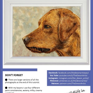 The front page of the lesson, with the finished Labrador painting in a white frame.  Underneath are links to Paul's other online channels, Patreon, YouTube, Instagram, Pinterest and Facebook.