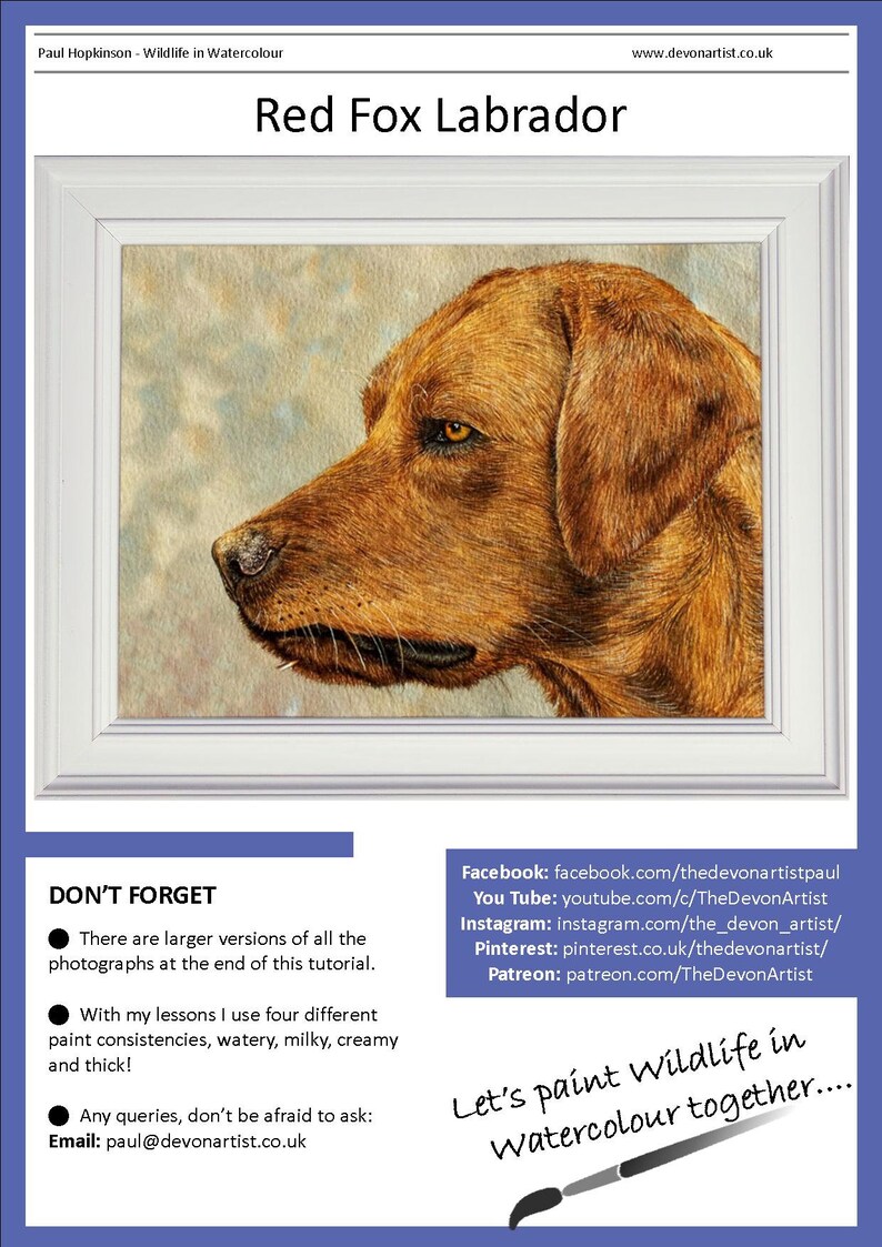 The front page of the lesson, with the finished Labrador painting in a white frame.  Underneath are links to Paul's other online channels, Patreon, YouTube, Instagram, Pinterest and Facebook.