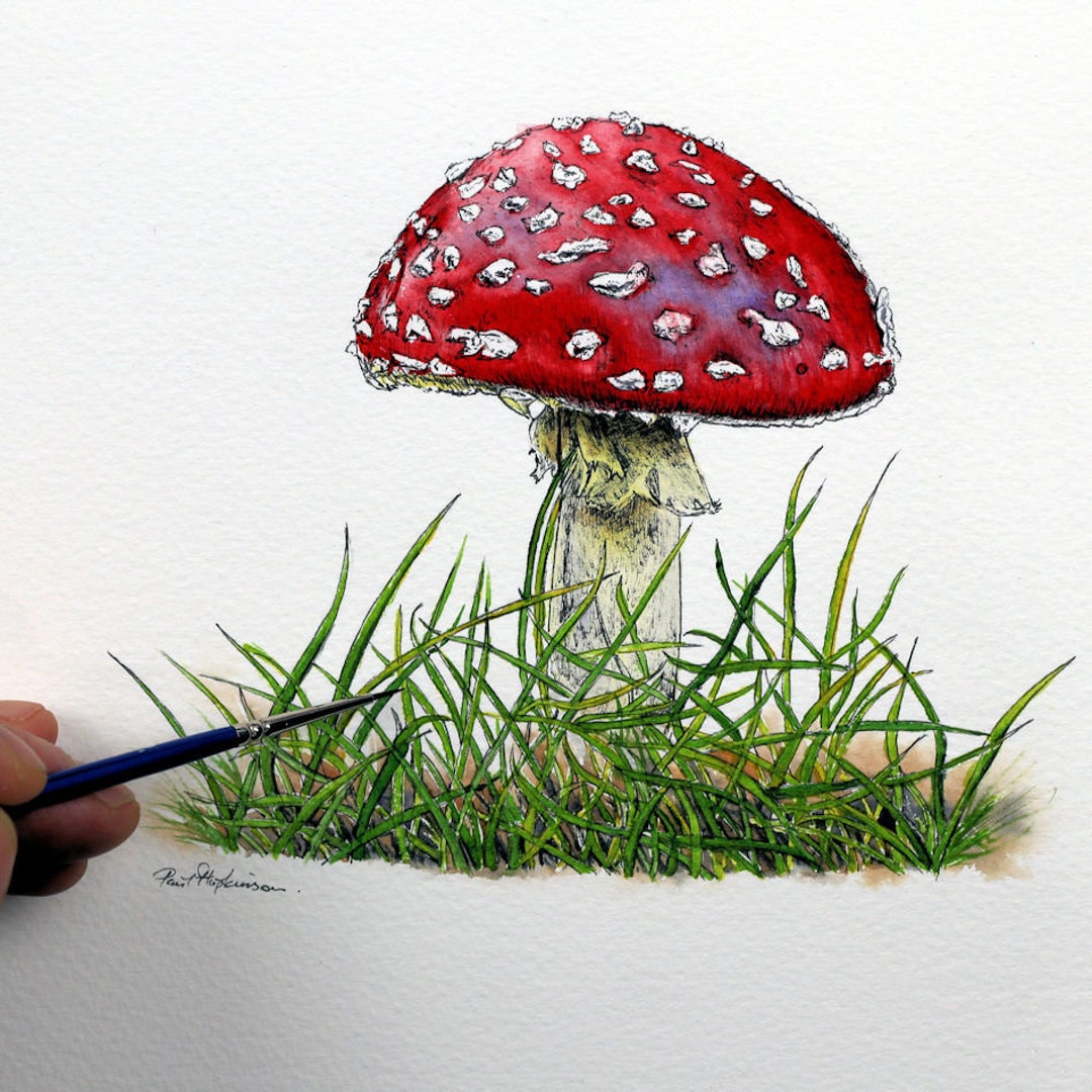 オリジナルペン＆水彩画：リアルなベニテングタケのイラスト - Etsy 日本