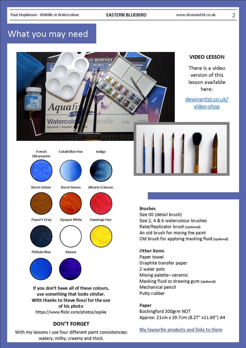 The materials section of the painting.  This has the colours needed to paint the blue bird shown as coloured circles.  Alongside is a list of other materials, including pens, brushes, other items and paper