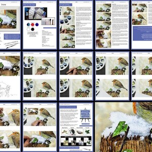 An overview collage of pages showing how the lesson is laid out.  It has a series of photos, which are enlarged for the second half of the tutorial.  The beginning section includes written text alongside the photos of Paul's work.