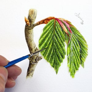 Botanical Watercolour Painting Lesson, Learn to Paint Realistic Leaves in Watercolor, Art Tutorials