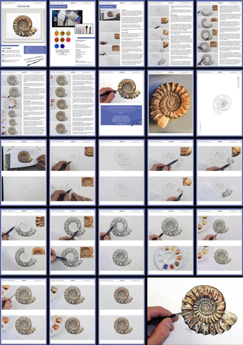 All the pages in this watercolor and ink drawing lesson of the ammonite fossil.  The fossil is a spiral, like a flat snail and is completed in various browns.  There are written instructions alongside photos.