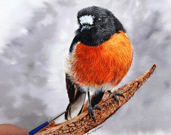 Tutorial de arte con acuarela: aprenda a pintar un petirrojo escarlata con acuarela detallada, lección de pintura descargable