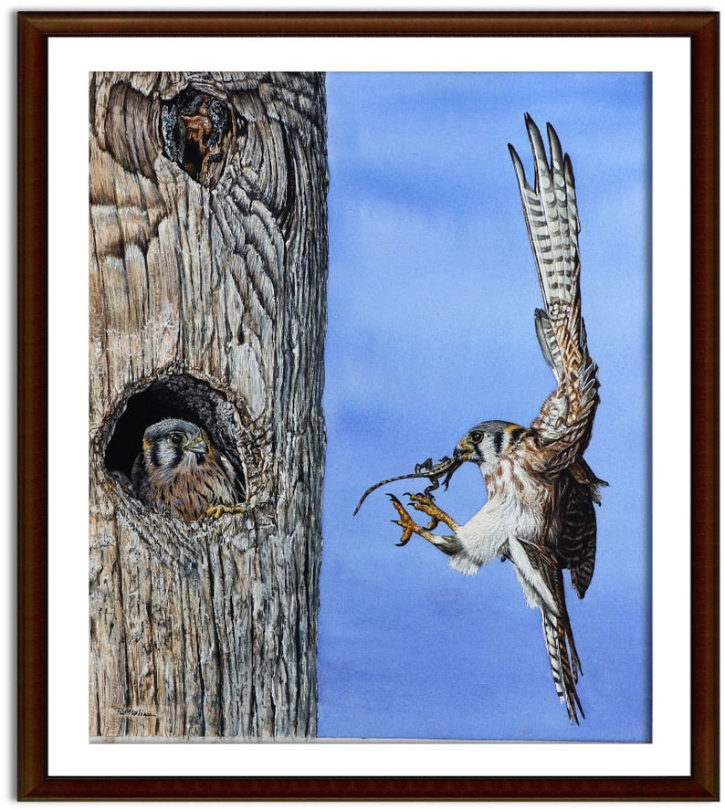 The Kestrel painting in a brown frame with a cream mount.