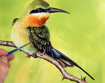 ORIGINAL Watercolour Painting of a Blue-tailed Bee-eater, Illustration Fine Art Style, Watercolor Bird Art