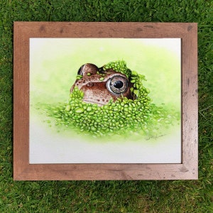 The finished frog painting in a wooden frame which has been laid on a lawn.