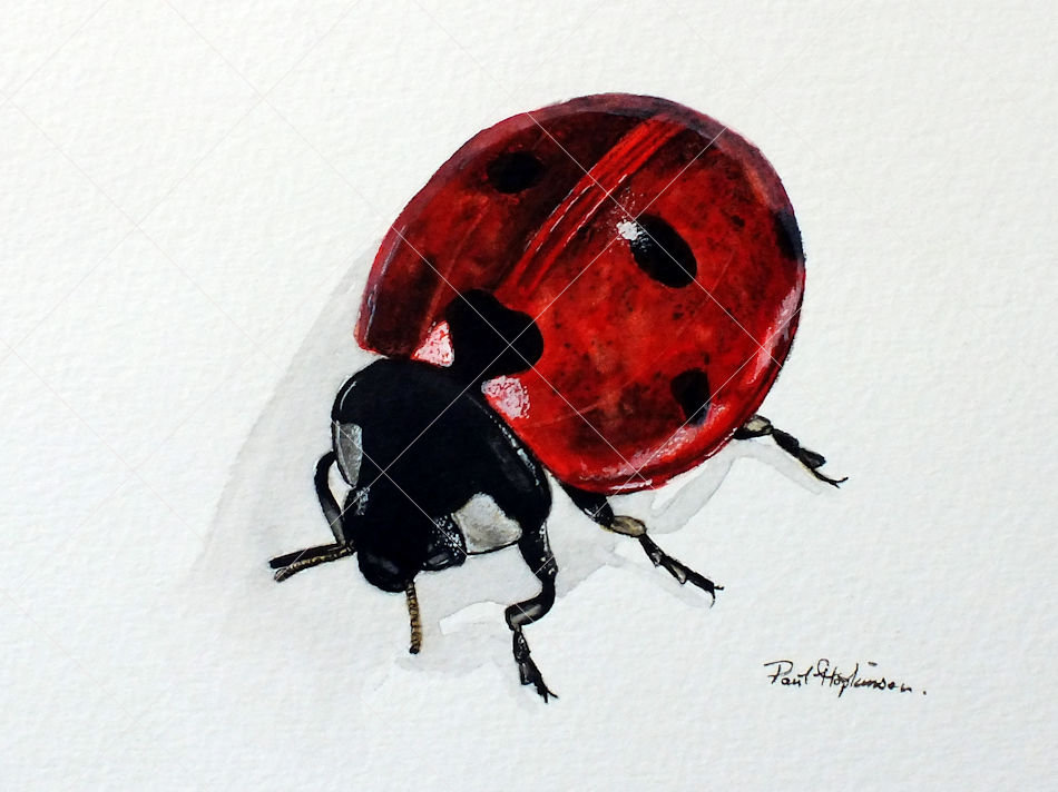 絵画・額縁・版画・芳岡 ひでき・新品未使用・お茶・てんとう虫・美術品・インテリア 絵画・額縁・版画・芳岡 ひでき・新品未使用・お茶・てんとう虫