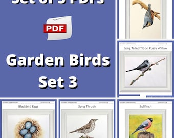 Acuarela realista, tutoriales de bellas artes, libro electrónico de pintura de aves en acuarela