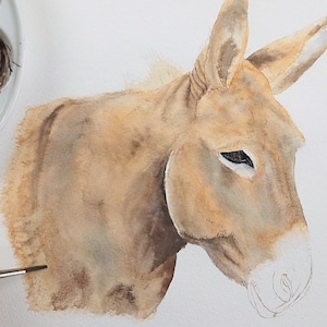 In this photo Paul is in the early stages of the painting. The eye looks complete, and he is just finishing off applying a base wash to the rest of the donkey.
