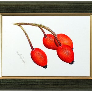 The rose hip illustration shown in a dark green frame which has a gold inner edge.