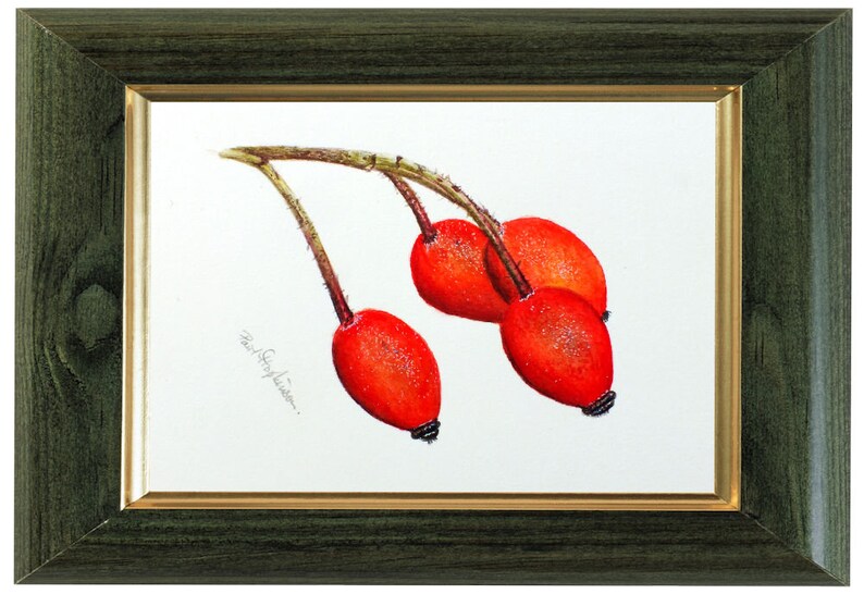 The rose hip illustration shown in a dark green frame which has a gold inner edge.