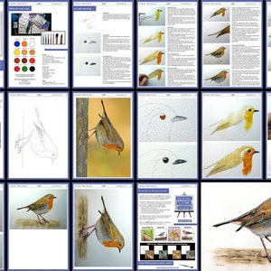 May include: A step-by-step watercolor painting tutorial showing how to paint a robin perched on a branch. The tutorial includes images of the finished painting, the supplies needed, and the process of painting the bird.