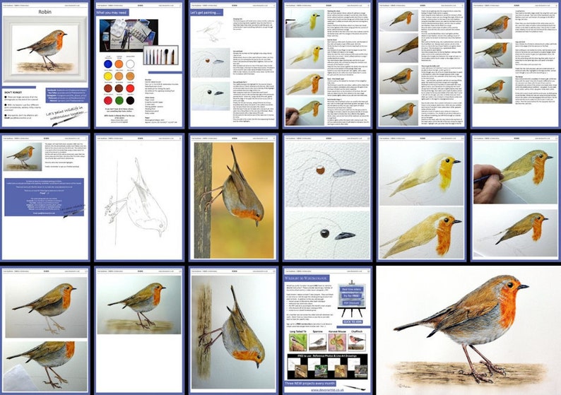 May include: A step-by-step watercolor painting tutorial showing how to paint a robin perched on a branch. The tutorial includes images of the finished painting, the supplies needed, and the process of painting the bird.