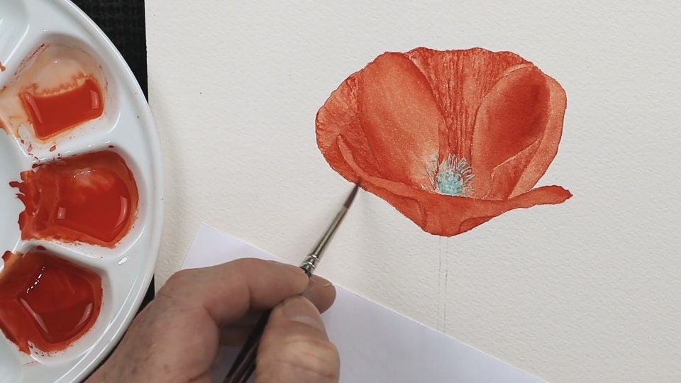 How to Paint Realistic Flowers Using Watercolor Poppy Etsy