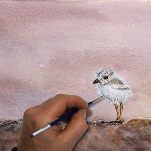 Paul painting a tiny white and grey fluffy chick. The chick is stood on a beach, with long spindly legs.  The background is a dusty pink colour, and this carries over onto the beach area too.