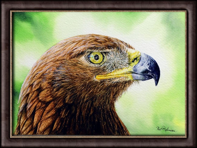 オリジナルの水彩画、リアルな鳥の絵、水彩画の野生動物のイラスト