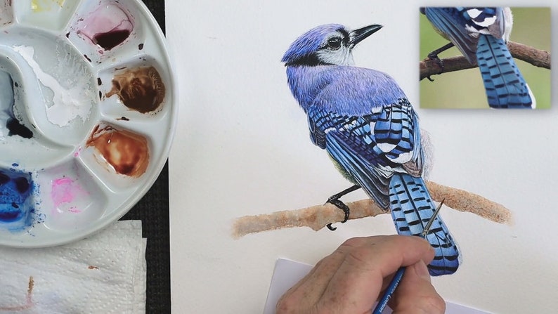 The bird is now painted, and Paul is working on a horizontal branch that the bird is perched on.  So far he has applied a wash to this, and is just starting to add the texture to the bark.