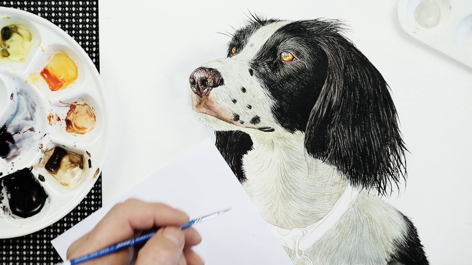 How to Paint Dogs in Watercolor Realistic Watercolour Dog Etsy UK