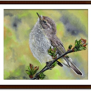 The chiffchaff painting in a dark coloured frame with a white mount.