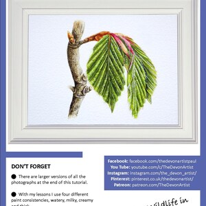 The front page of the spring Beech leaf painting tutorial, showing the finished painting of the leaf in a white frame.
