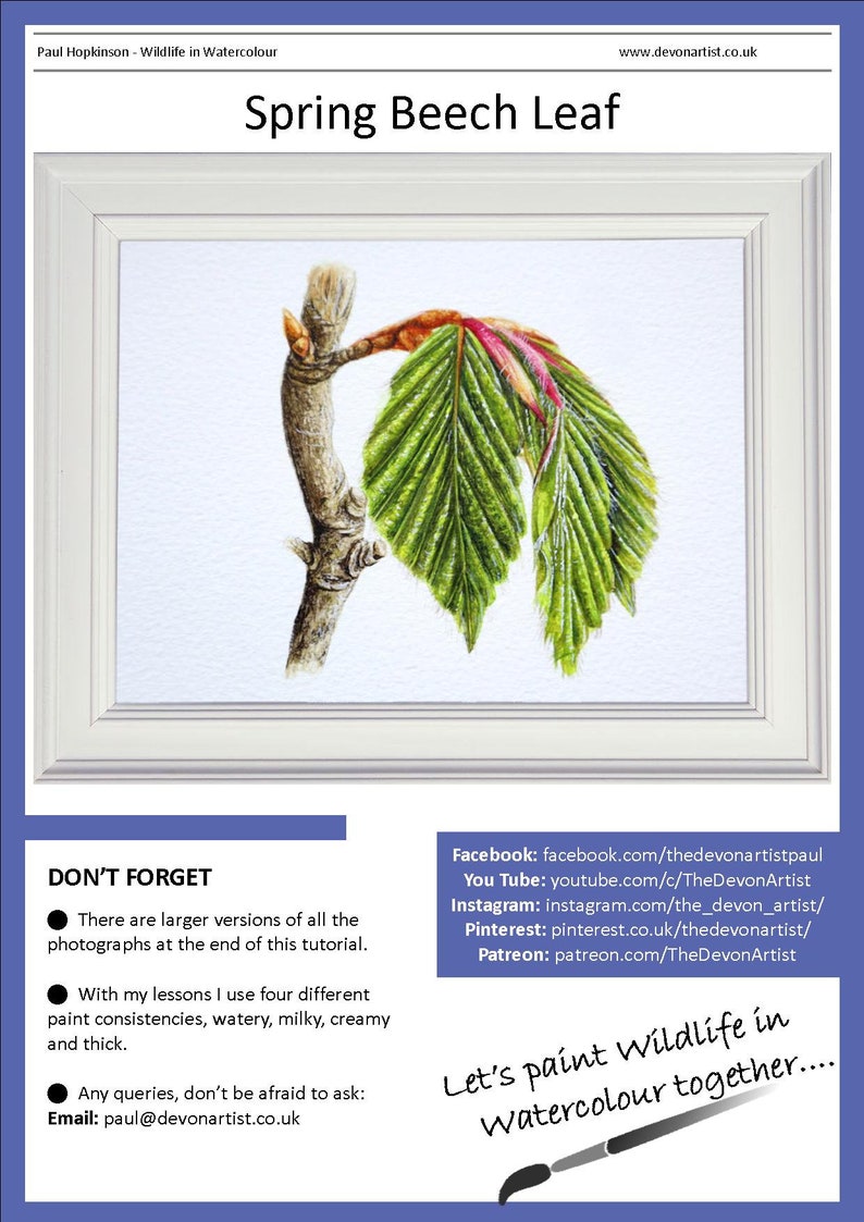 The front page of the spring Beech leaf painting tutorial, showing the finished painting of the leaf in a white frame.