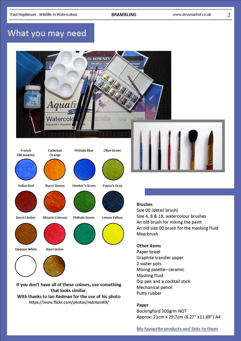 This page of the lesson has swatches of the paint colours you will need to complete the brambling painting.  There's also a list of the other equipment you will need, including brushes and paper.