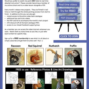 The last page of the lesson which features 4 more tutorials that can be bought as PDF painting lessons.  A raccoon, a red squirrel, a nuthatch bird, and a puffin.  There are also written details about the online video tutorials.