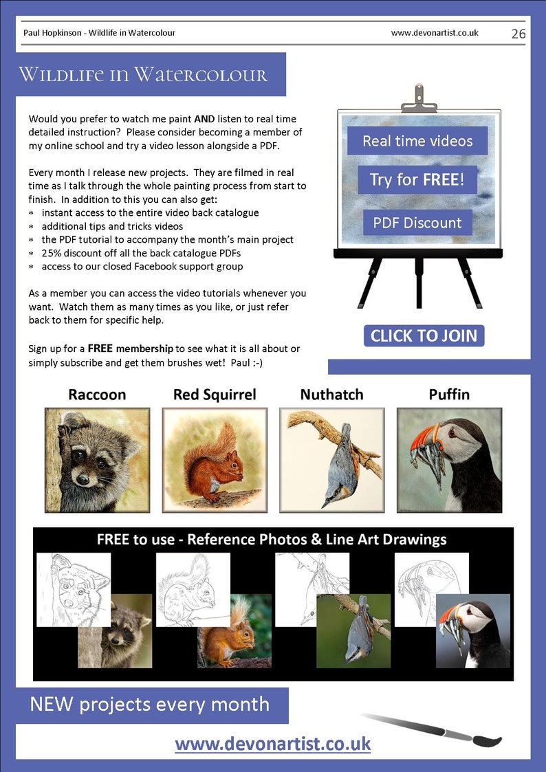 The last page of the lesson which features 4 more tutorials that can be bought as PDF painting lessons.  A raccoon, a red squirrel, a nuthatch bird, and a puffin.  There are also written details about the online video tutorials.