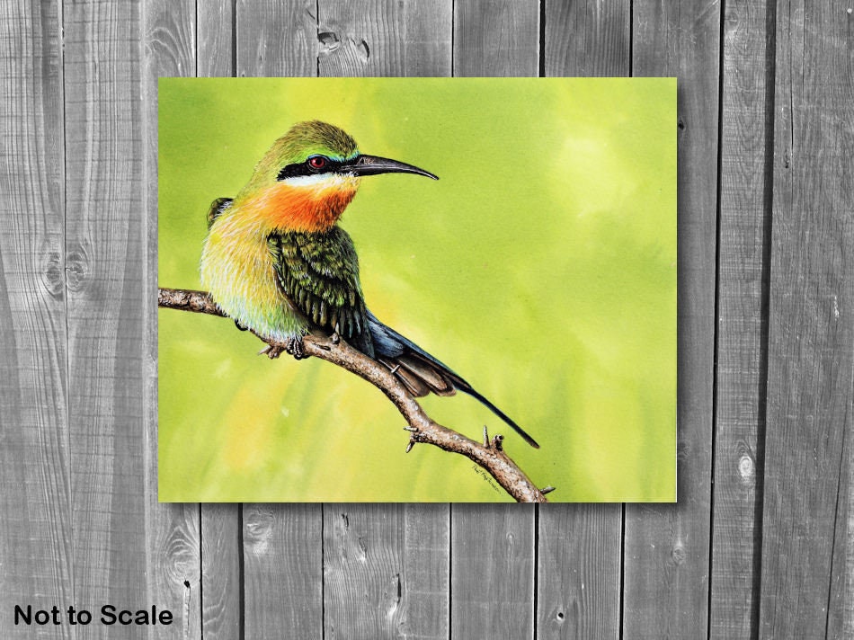 オリジナルの水彩画、アオバチクイのイラスト、ファインアートスタイル